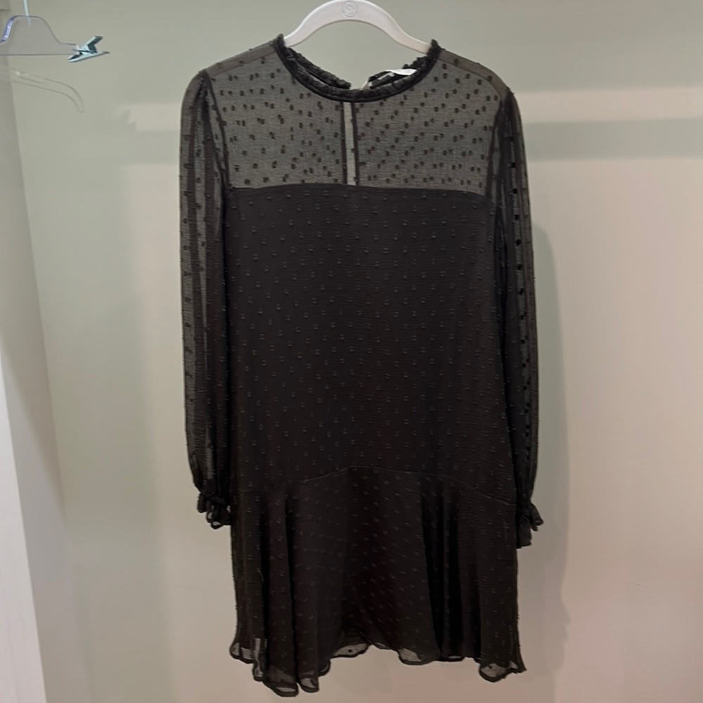 Zara long sleeve dress